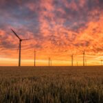 Landschaft mit Windrädern im Sonnenuntergang