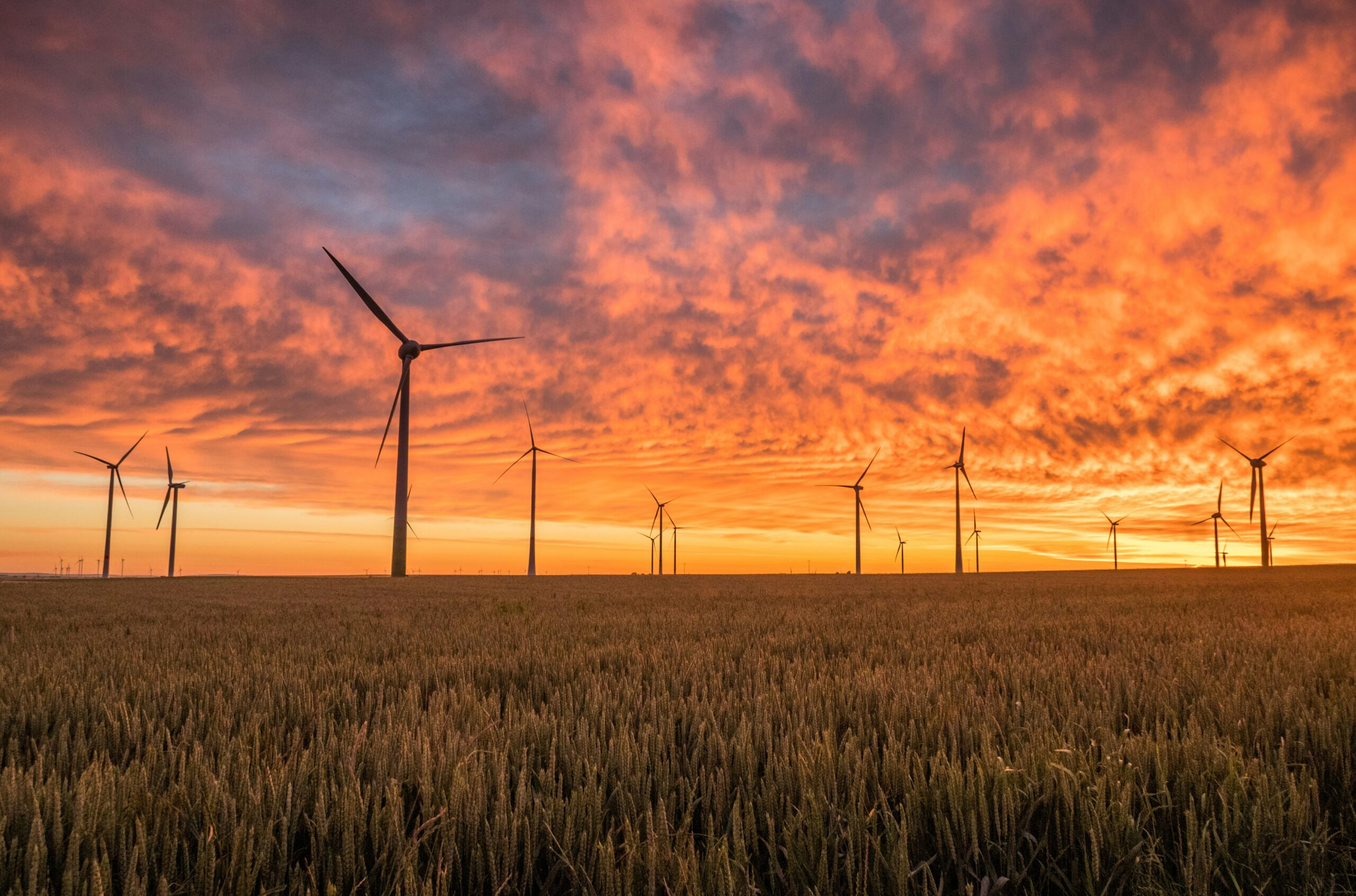 Landschaft mit Windrädern im Sonnenuntergang