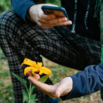 Knieende person im Anschnitt zu sehen: eine Hand hält eine Blume, die andere Hand hält ein Smartphone darber.