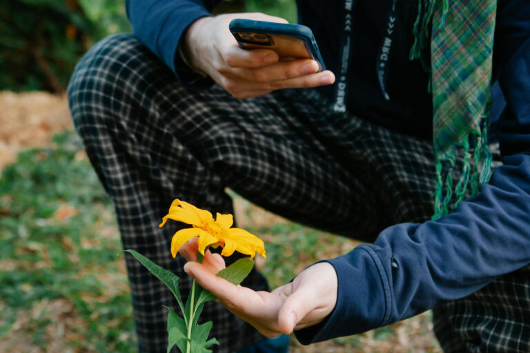 Knieende person im Anschnitt zu sehen: eine Hand hält eine Blume, die andere Hand hält ein Smartphone darber.