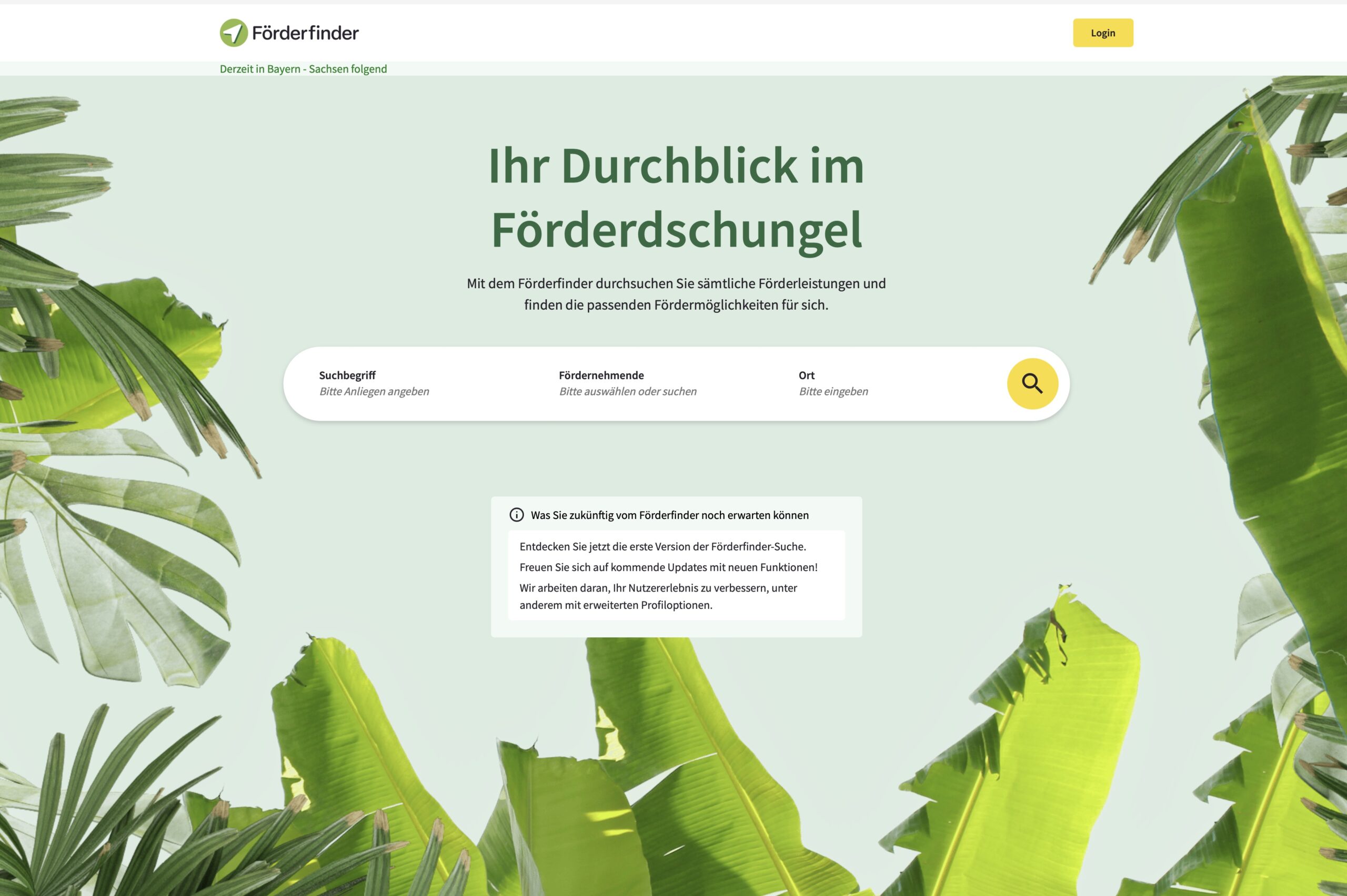 Der Screenshot zeigt die Startseite des Förderfinders der bayerischen Staatsregierung. Zu sehen ist eine Eingabemaske, die von Dschungelblättern umrahmt ist.