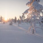 Winterliche Landschaft in Nordschweden