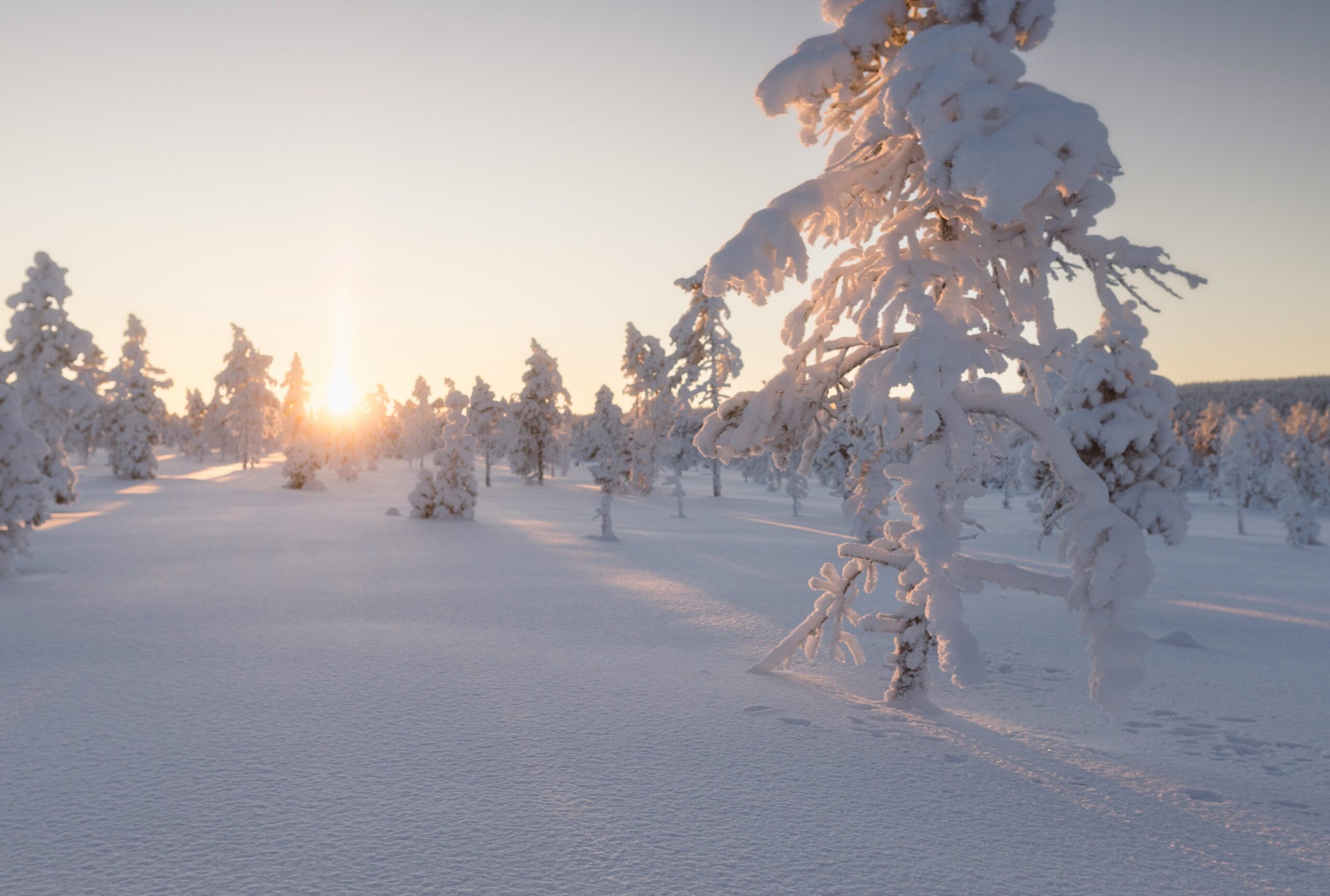 Winterliche Landschaft in Nordschweden